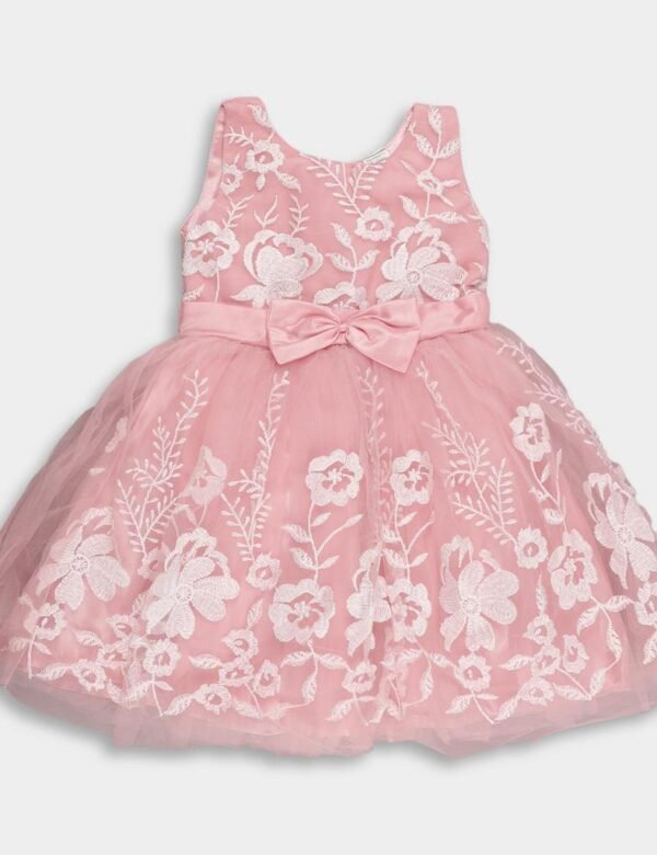 Girls Embroidered Party Frock
